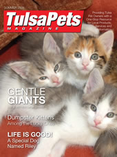 TPmagcover